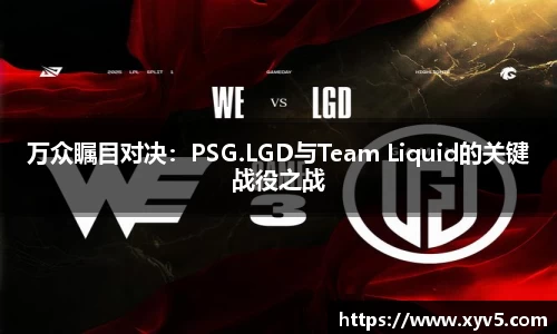 3003新葡的京集团