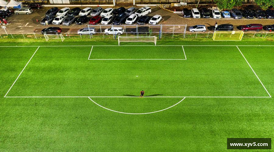 拼搏绽放，青春无悔！